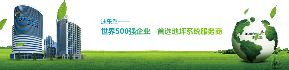 迪樂堡世界500強(qiáng)企業(yè)